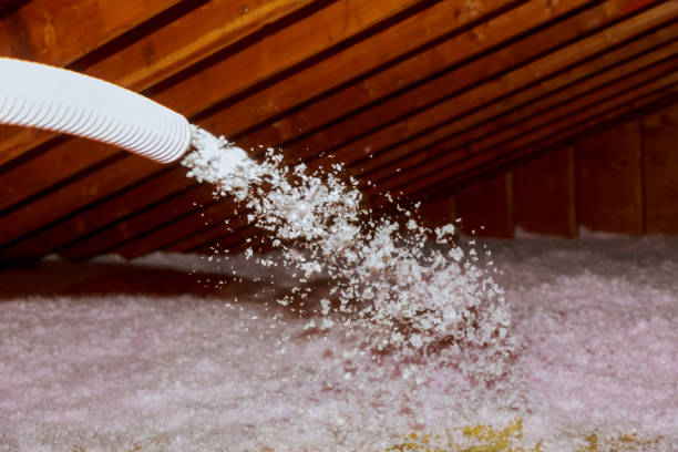 Best Insulation Maintenance and Repair in South Floral Park, NY