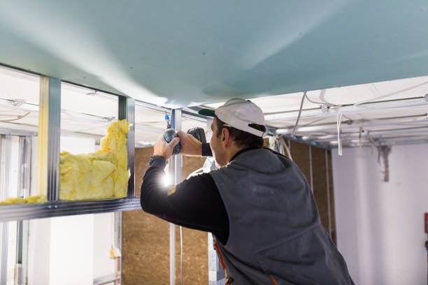 Best Spray Foam Insulation in South Floral Park, NY