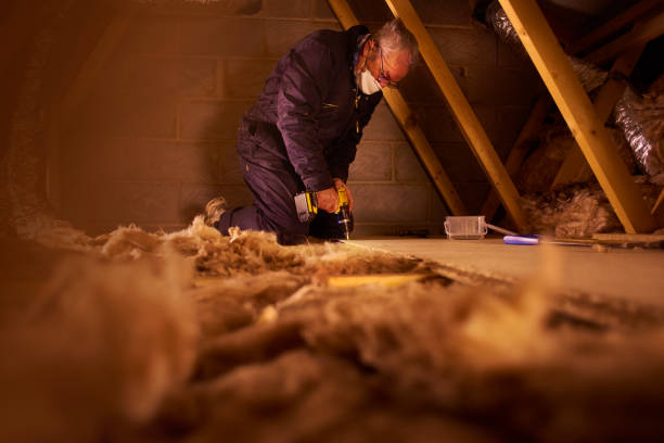 Best Cellulose Insulation in South Floral Park, NY
